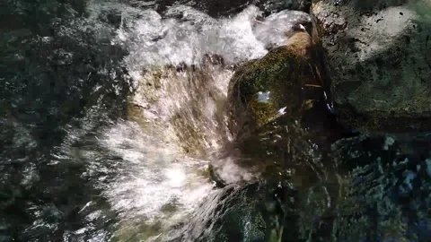 Clear mountain stream Stock Footage 136893665
