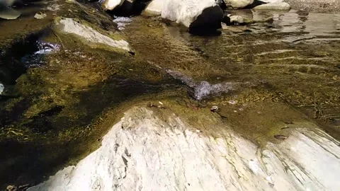 Clear mountain stream Stock Footage 140142503