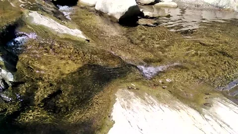 Clear mountain stream Stock Footage 140142505