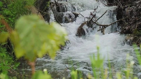 Clear mountain stream, Stock Footage 241725439