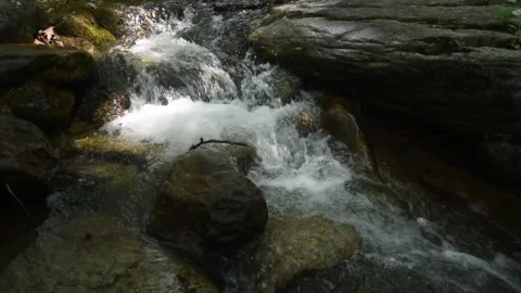 Clear mountain stream Stock Footage 312107735