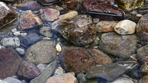 Clear mountain stream with multi-colored rounded rocks  Stock Footage 139349589