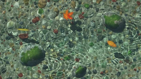 Clear Mountain Stream Over Pebbles Top View Caustics Seamless Loop Stock-Footage 347127286