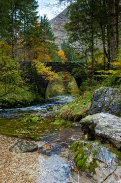 Clear mountain stream passing under a stony bridge in autumn landscape Stock Photos