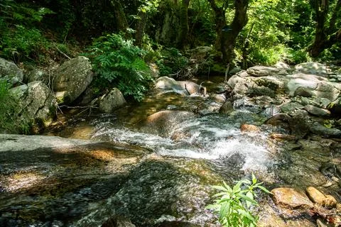 Clear mountain stream Stock Photos