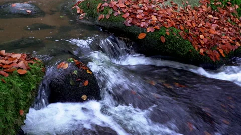 Clear Mountain Stream Running Through Leaf Covered Boulders Stock Footage 144054849