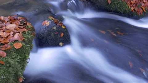 Clear Mountain Stream Running Through Stones Stock Footage 144056905
