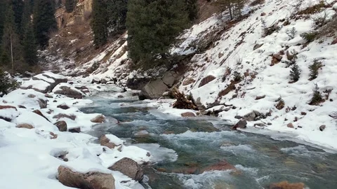Clear mountain stream runs through a beautiful gorge Stock Footage 232653425