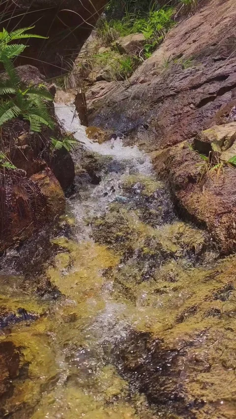 Clear mountain stream rushing over weathered rocky bed Vídeos de archivo 342194647