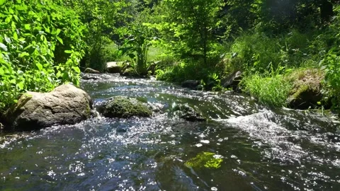 Clear Mountain Stream in Summer Video stock 274339621