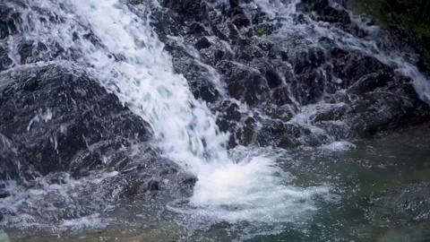 Clear mountain stream water cascading over dark wet rocks in a forest setting Stock Footage 342326225