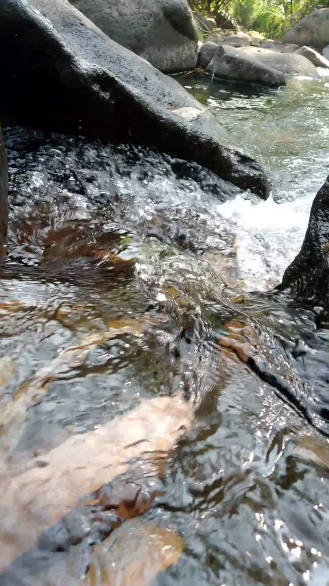 Clear Mountain Stream Water Flowing Over Rocks in Tropical Forest 4K Stock Footage 341835596