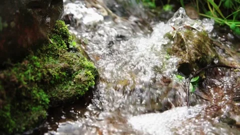 Clear mountain stream water flowing rapidly over mossy rocks in a forest setting Stock Footage 342232749