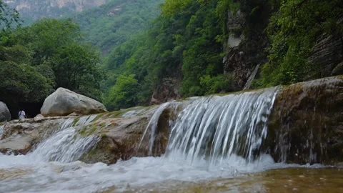Clear mountain stream water flowing over rocky riverbed in green forest Stock Footage 342310240