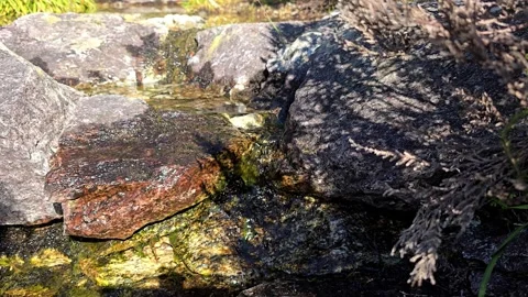Clear mountain stream water flowing through colorful granite stones. Stock Footage 343734274