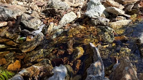 Clear mountain stream water flowing through colorful granite stones Stock Footage 343735009