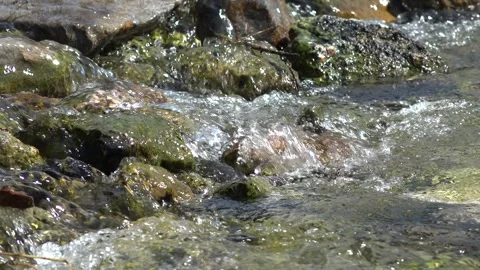 Clear Mountain Stream Water Ripples Sunlight Reflection. Closeup Flowing Mountai Stock Footage 340035108