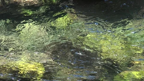 Clear Mountain Stream Water Ripples Sunlight Reflection. Closeup Flowing Stock Footage 340035188