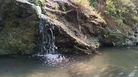 Clear mountain stream water trickles down dark rocky cliff Stock Footage 347103522