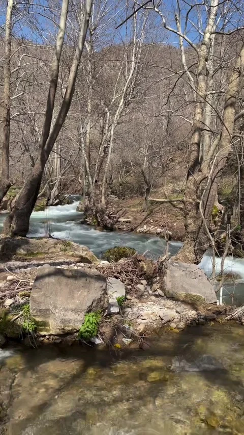 Clear Mountain Stream Waterfall and Walking Stick Stock Footage 340871306
