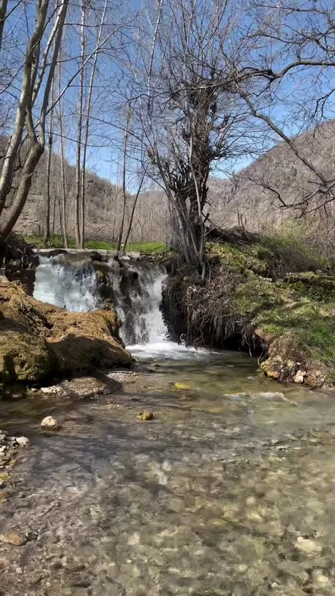 Clear Mountain Stream Waterfall and Rocks with bare trees 库存影片 340871359