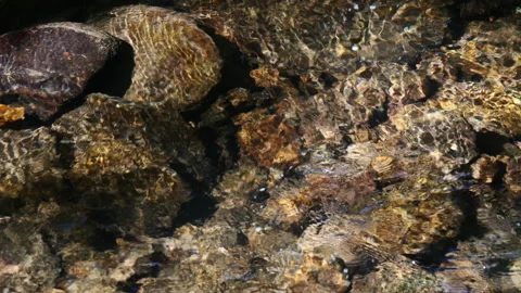 Clear mountain stream waters flowing over a rocky bottom Stock Footage 337319568