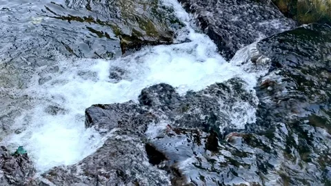 Clear mountain water flows rapidly over dark wet stones, creating a refreshing Stock Footage 345742528