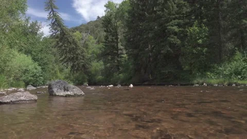 Clear mountain water runs down stream Vidéo 165319309