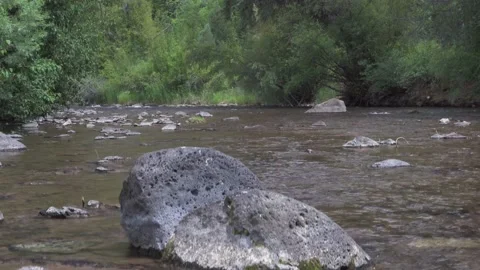 Clear mountain water runs down stream Stock Footage 165319333