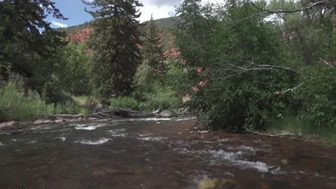 Clear mountain water runs down stream Stock Footage 165319413