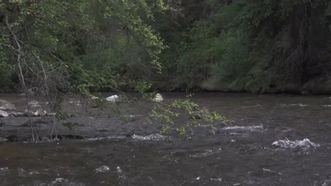 Clear mountain water runs down stream 動画素材 165319424
