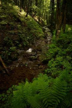 Clear mountain waters Stock Photos