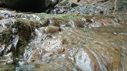Clear Natural Stream Flowing Through Rocks in Forest Stock Footage 329754967
