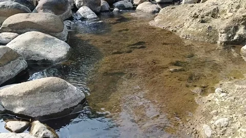Clear natural stream flowing through rocky terrain in bright daylight Vidéo 344087451