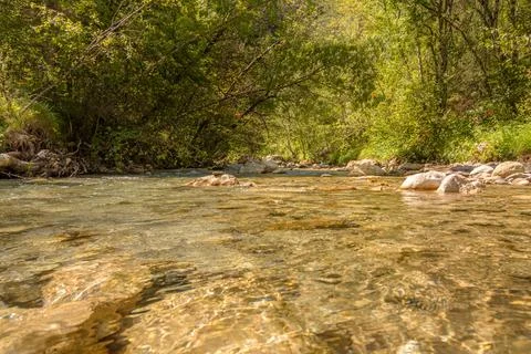 Clear nature lake Stock Photos