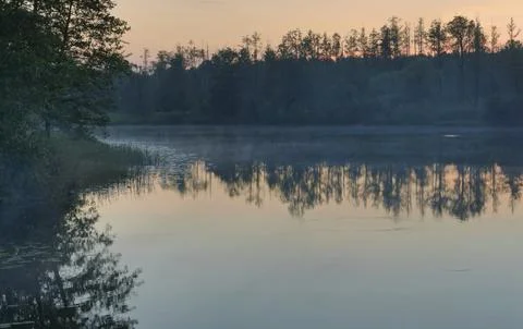 Clear night, moonlight, the reflection of the moon in the pond Stock Photos