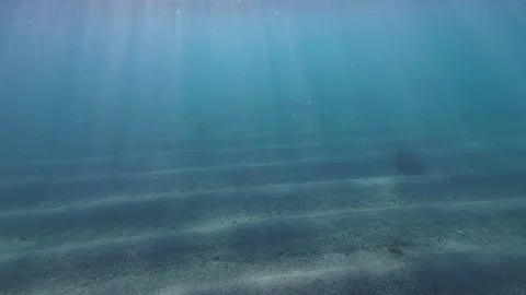 Clear ocean Stock Footage 319353667