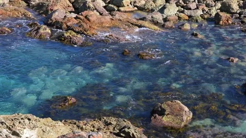 Clear ocean water flowing over rocky shoreline with visible seabed, Tathra, New Vidéo 332913577
