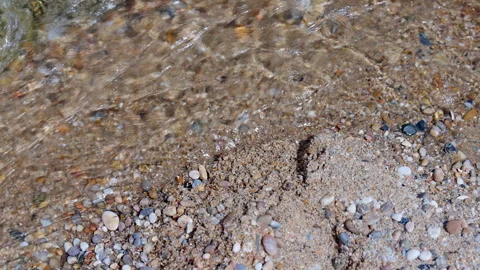 Clear ocean water flowing over a sandy and pebble beach Stock Footage 341933109