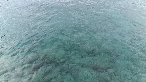 Clear Ocean Water Stock Footage 226617043