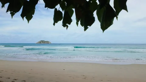 Clear ocean waters with a distant island framed by leaves. Seychelles, Mahe. Stock Footage 311138590