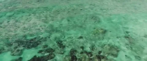 Clear Ocean Waters 動画素材 154799725