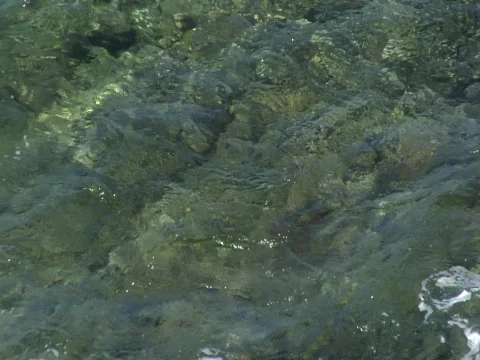 Clear ocean waves Stock Footage 708892