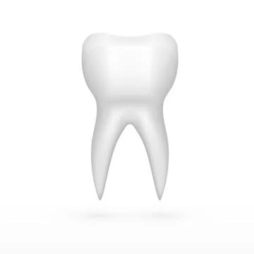 Clear One White Molar Tooth With Shadow Stock Illustration