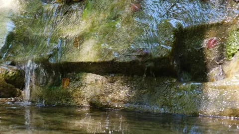 Clear parched Mountain Stream flows rapidly passing rocks covered with green Stock Footage 139052546