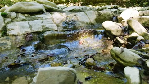 Clear parched Mountain Stream flows rapidly passing rocks covered with green Stock Footage 139053392