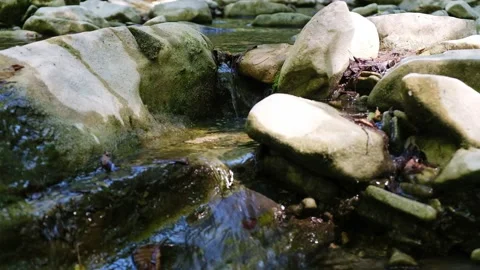 Clear parched Mountain Stream flows rapidly passing rocks covered with green Stockbeeldmateriaal 139053486