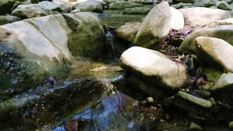Clear parched Mountain Stream flows rapidly passing rocks covered with green Stock Footage 139053671