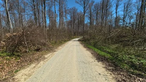 Clear path winds through bare trees. Balkan, Eastern Europe, POV Video stock 333439640