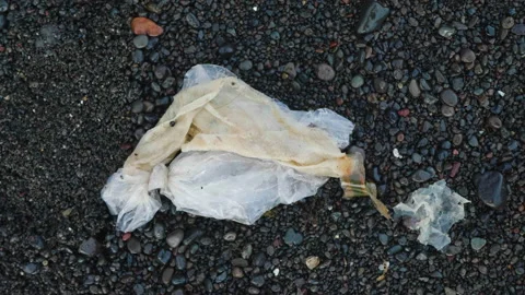 Clear Plastic Bag on Black Sand in Bali Stock Footage 147285877